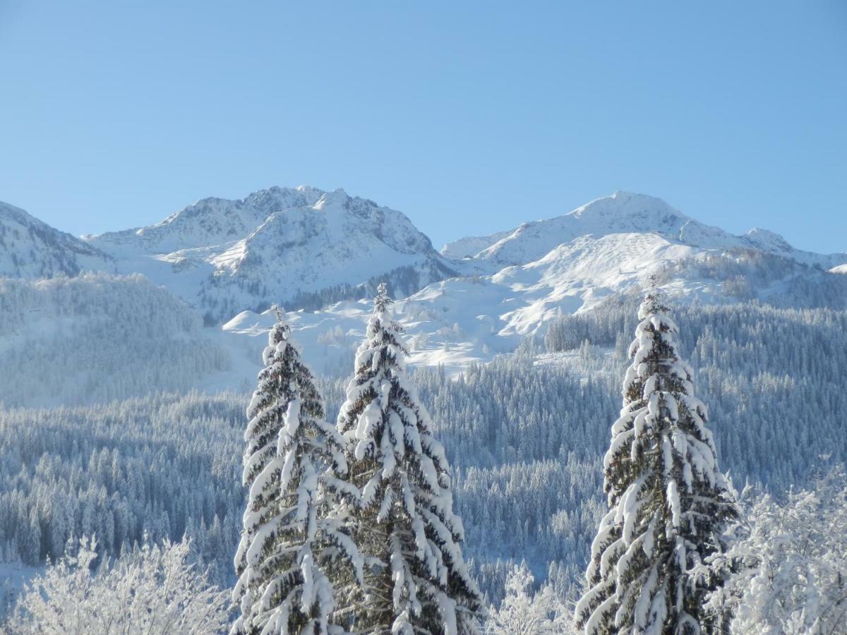 Ferienwohnung App. Mountain View Fieberbrunn Εξωτερικό φωτογραφία